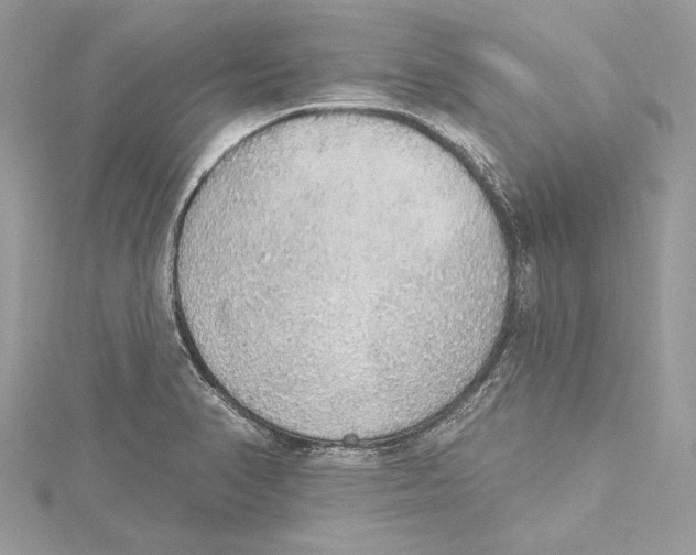 X0000115421374200912011318