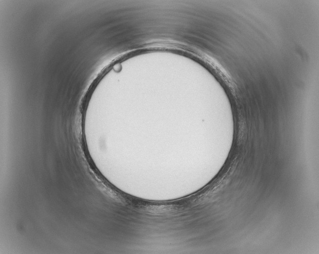 X0000115421376200912011318