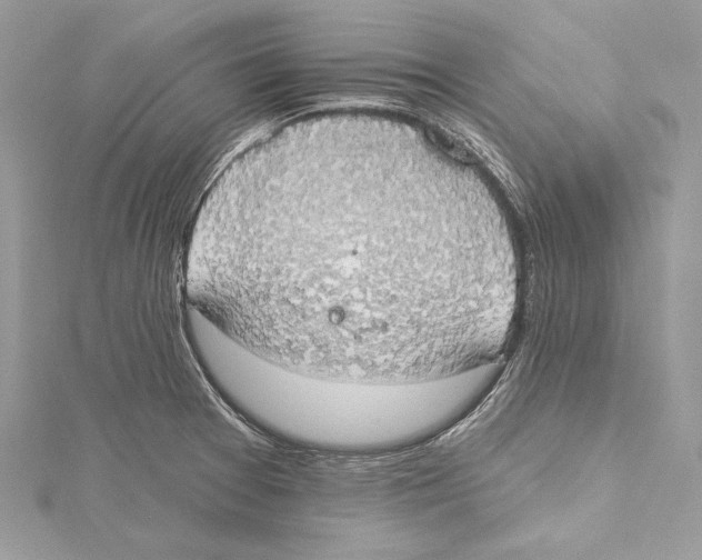 X0000115421377200912011318