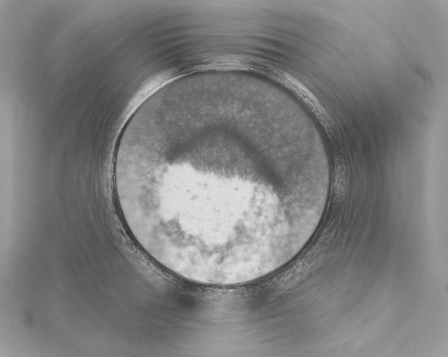 X0000115421378200912011318