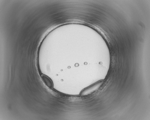 X0000115421379200912011318