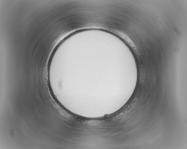 X0000115421380200912011318