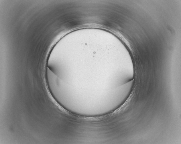 X0000115421381200912011318