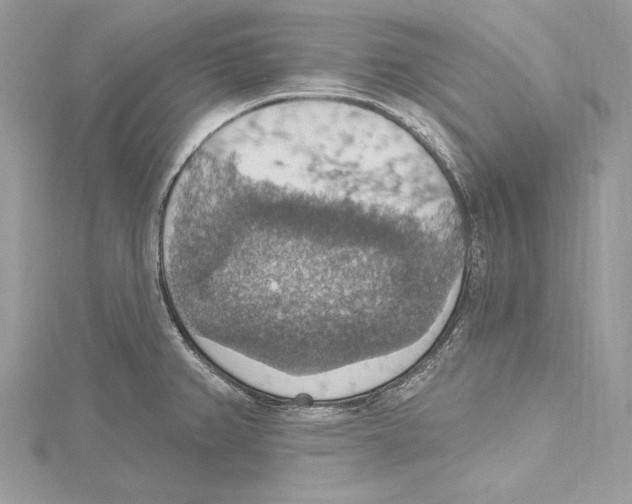 X0000115421382200912011318