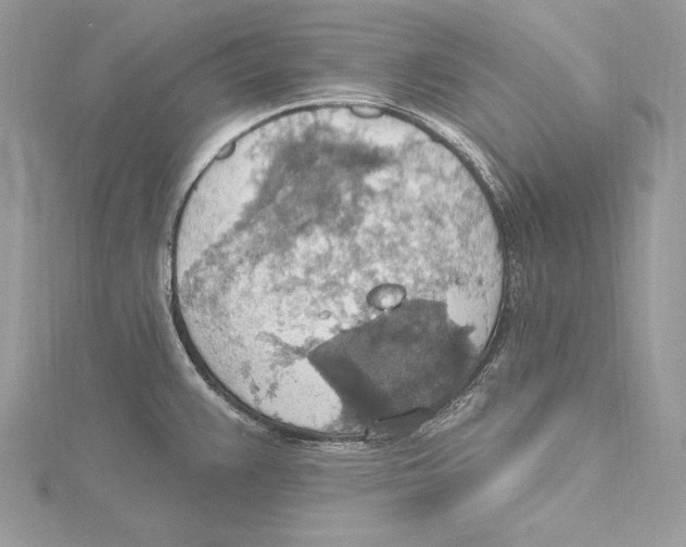 X0000115421383200912011318