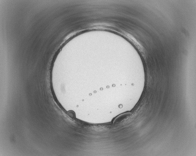 X0000115421384200912011318