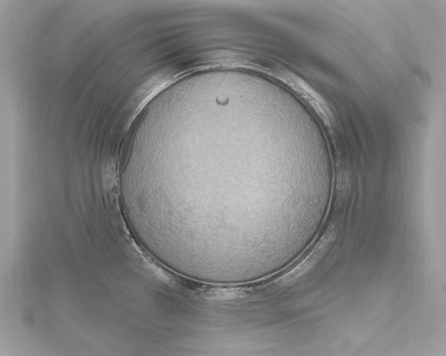 X0000115421385200912011318