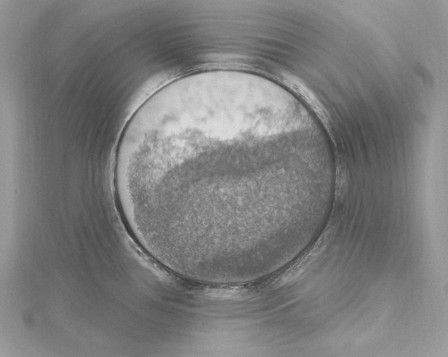 X0000115421386200912011318