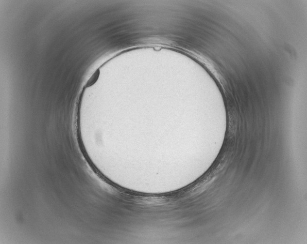 X0000115421387200912011318