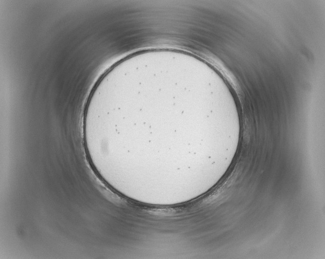 X0000115421388200912011318