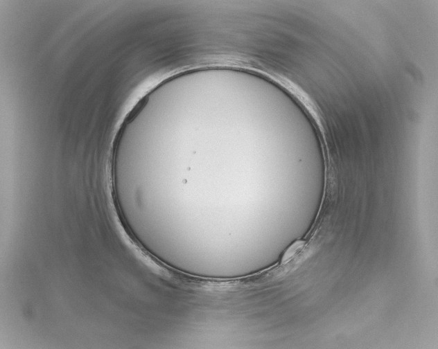 X0000115421389200912011318