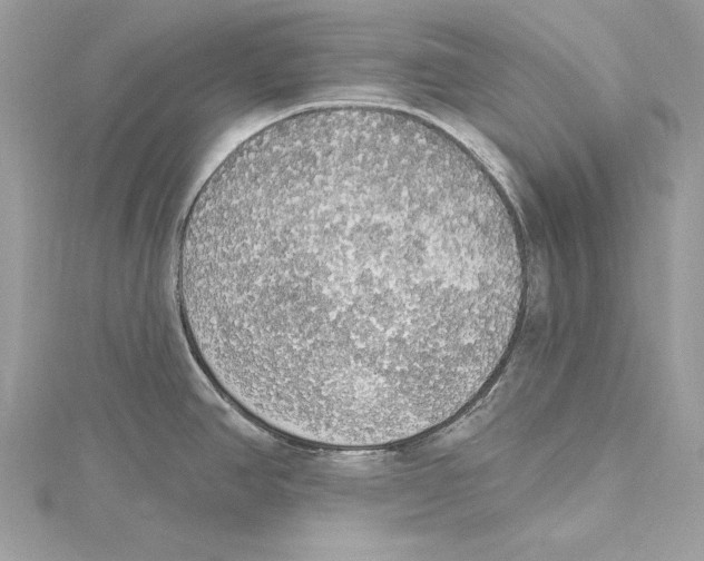 X0000115421390200912011318