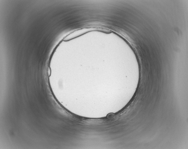 X0000115421392200912011318