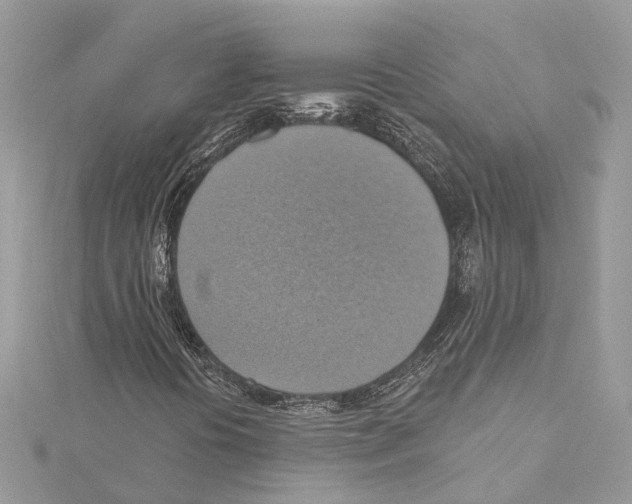 X0000115421394200912011317