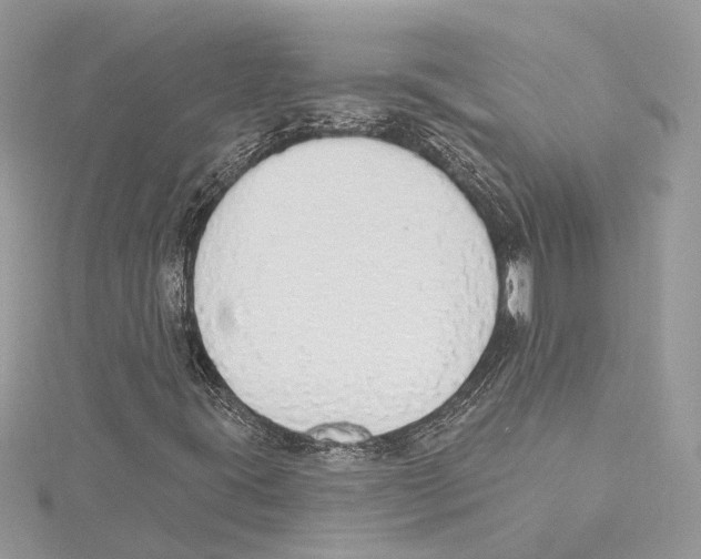 X0000115421395200912011317