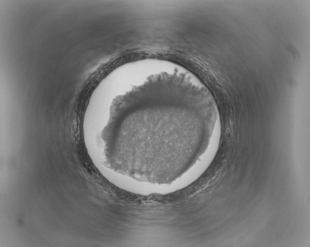 X0000115421398200912011317