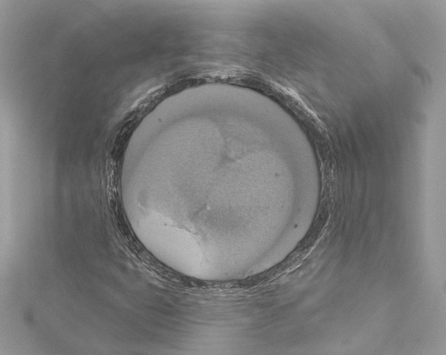 X0000115421399200912011317