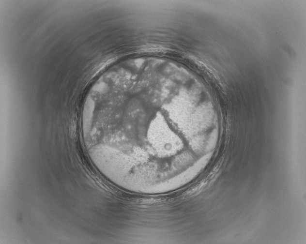 X0000115421401200912011317