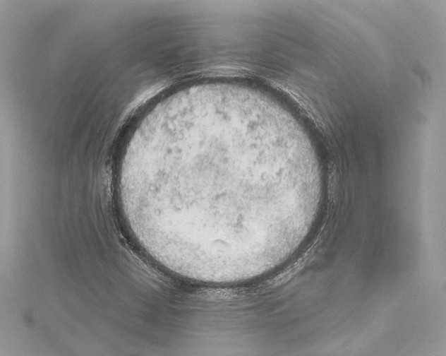 X0000115421402200912011317