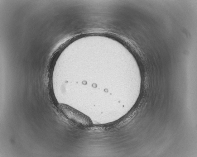 X0000115421406200912011317