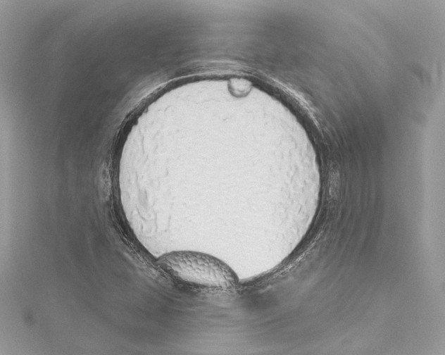 X0000115421407200912011317