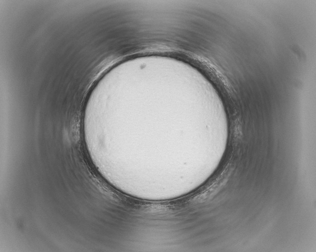 X0000115421409200912011317