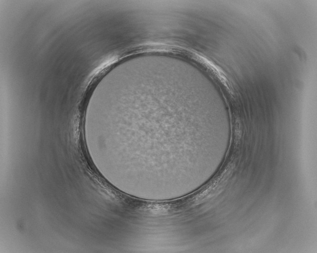 X0000115421411200912011317