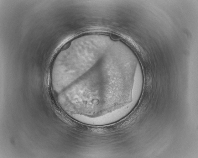 X0000115421413200912011317