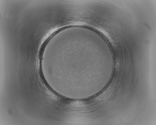 X0000115421414200912011317