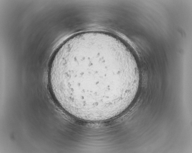 X0000115421415200912011317