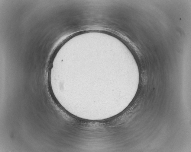 X0000115421416200912011317