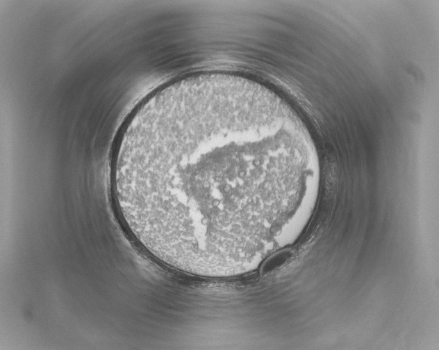 X0000115421418200912011317