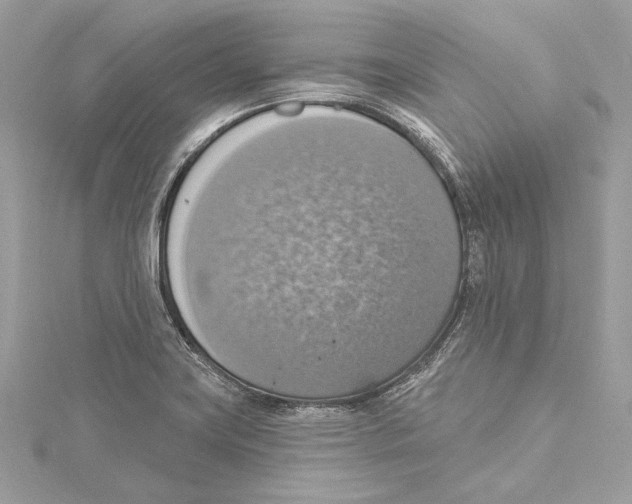 X0000115421419200912011317