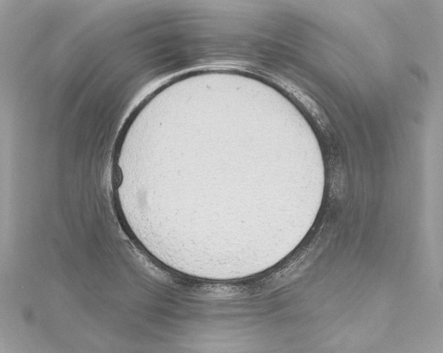 X0000115421420200912011317