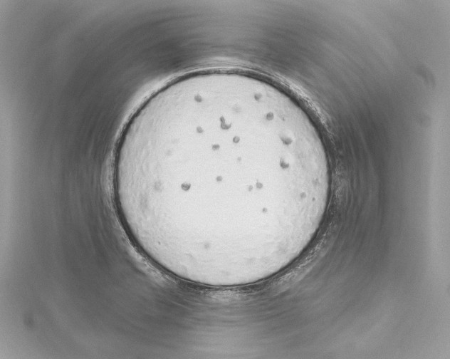 X0000115421421200912011317