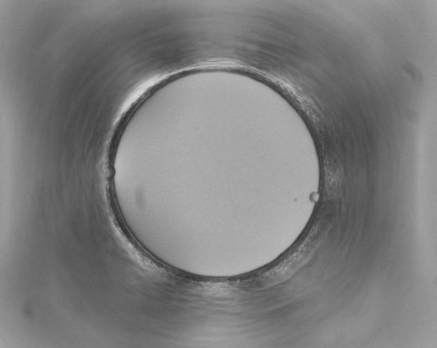 X0000115421422200912011317