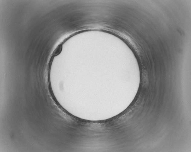 X0000115421424200912011317