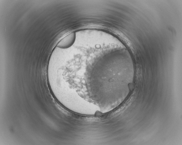 X0000115421425200912011317