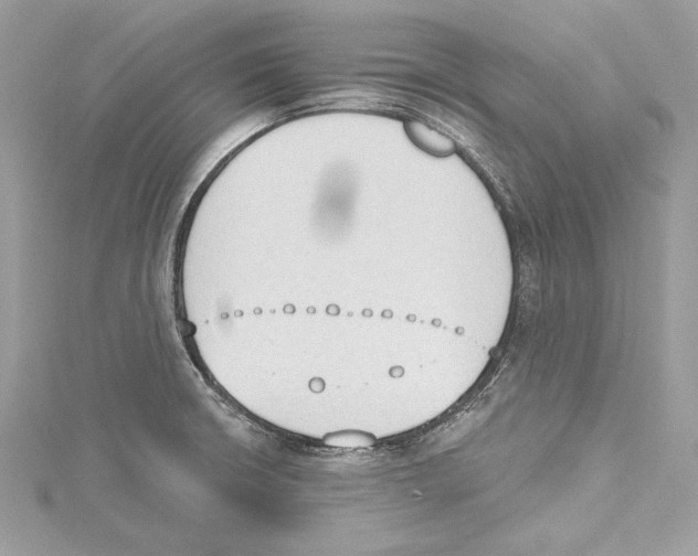 X0000115421426200912011317