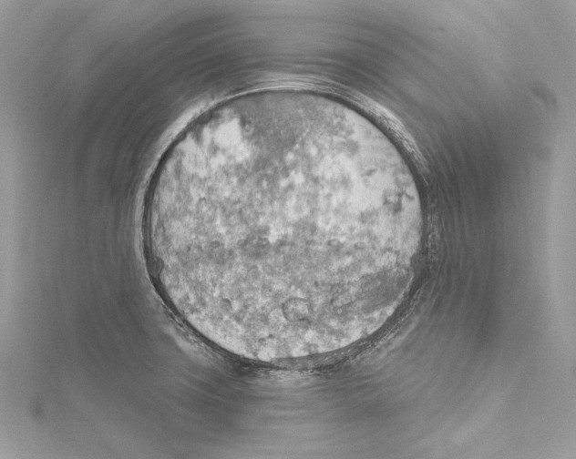 X0000115421427200912011317