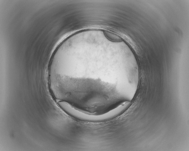 X0000115421428200912011317