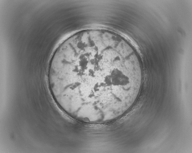 X0000115421429200912011317