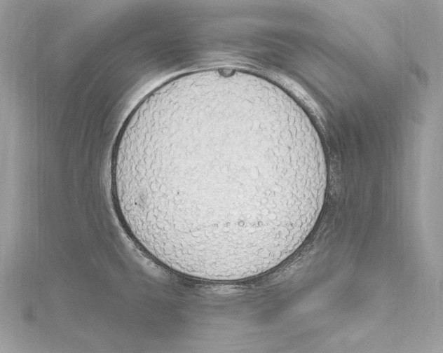 X0000115421431200912011317