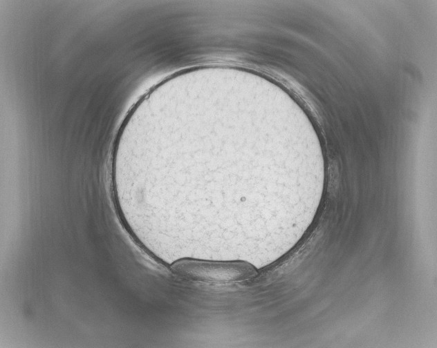 X0000115421432200912011317