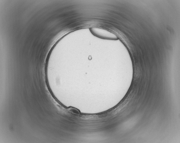 X0000115421434200912011318