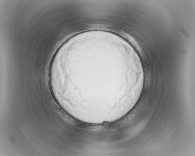 X0000115421435200912011318