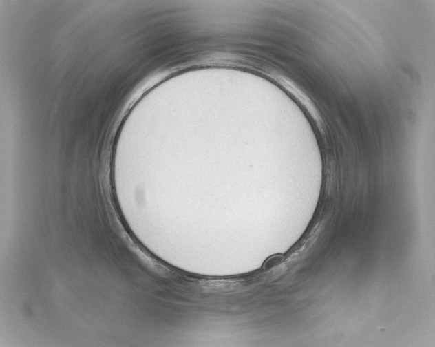 X0000115421437200912011318