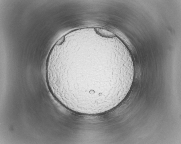 X0000115421439200912011318