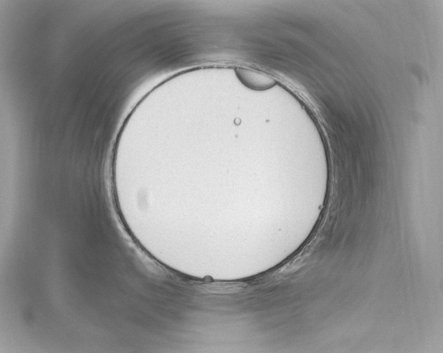 X0000115421440200912011318