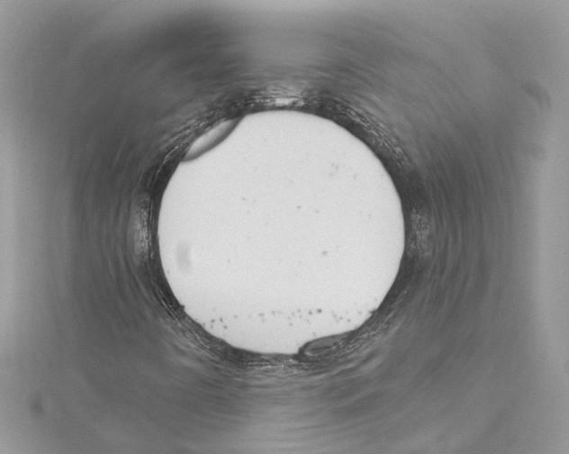 X0000115421442200912011317